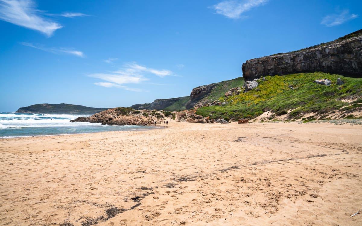 Strand Robberg Nature Reserve Zuid-Afrika