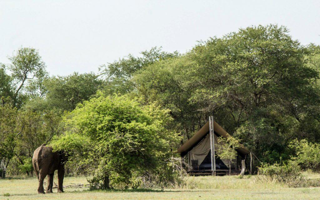 Plain Camp van de Rhino Walking Tours.