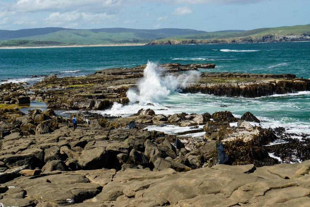 Fossilized Forest in the Catlins