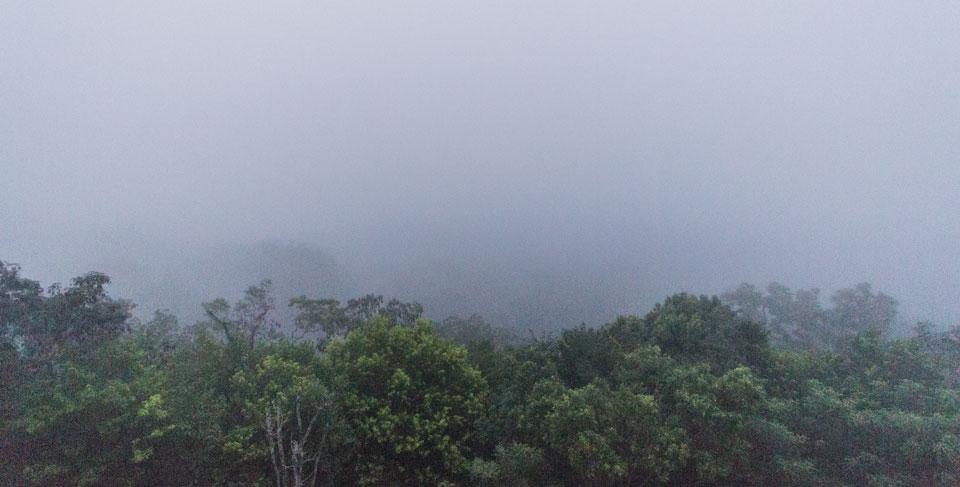 Tikal Guatemala lever de soleil temple 4 ruines mayas brouillard
