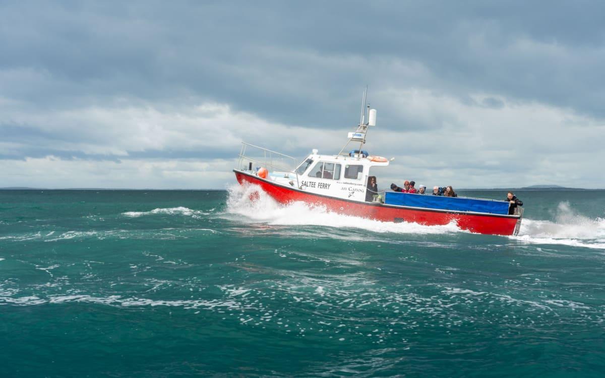 Ferry Saltee allant à Saltee Island
