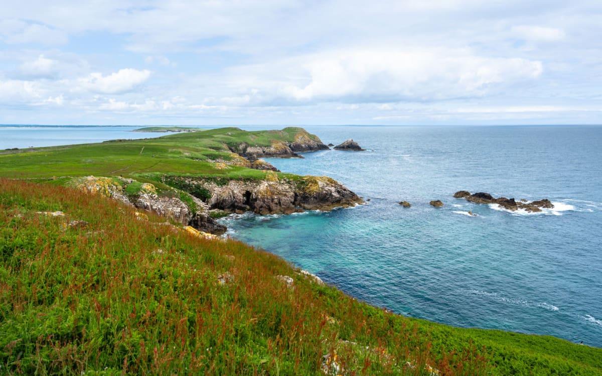 Les îles Greater Saltee en Irlande