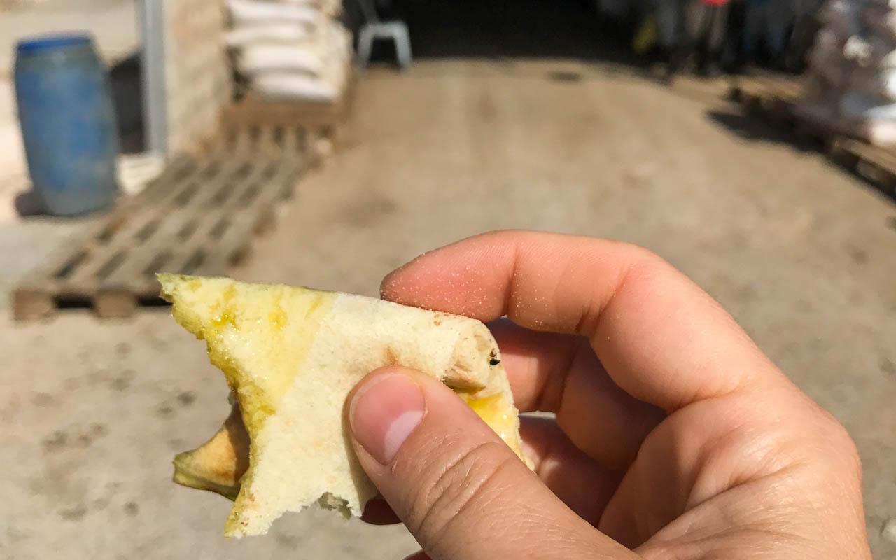 reisverslag-jordanien-rundreise-ajloun-olivenoel-brot