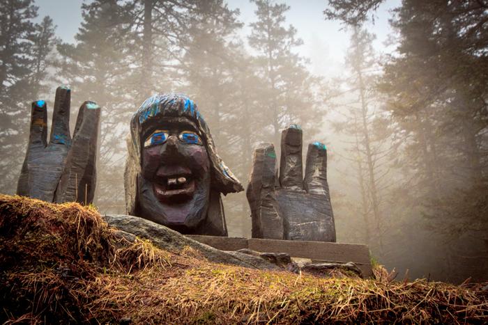 Noorwegen Trollwald in Bergen