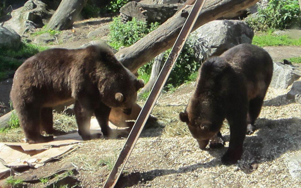 Skansen Open-Air Museum Stockholm