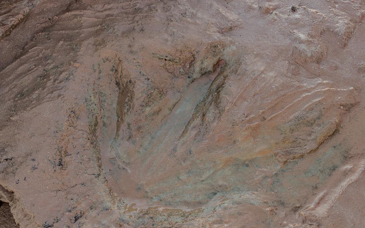 Redell Beach Dinosaur Tracks Broome