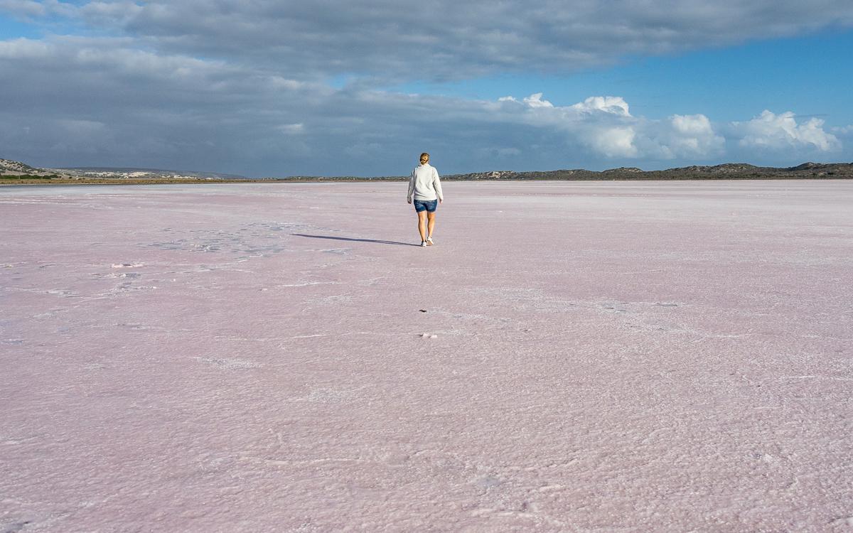 Hutt Lagoon Pink Lake Western Australia