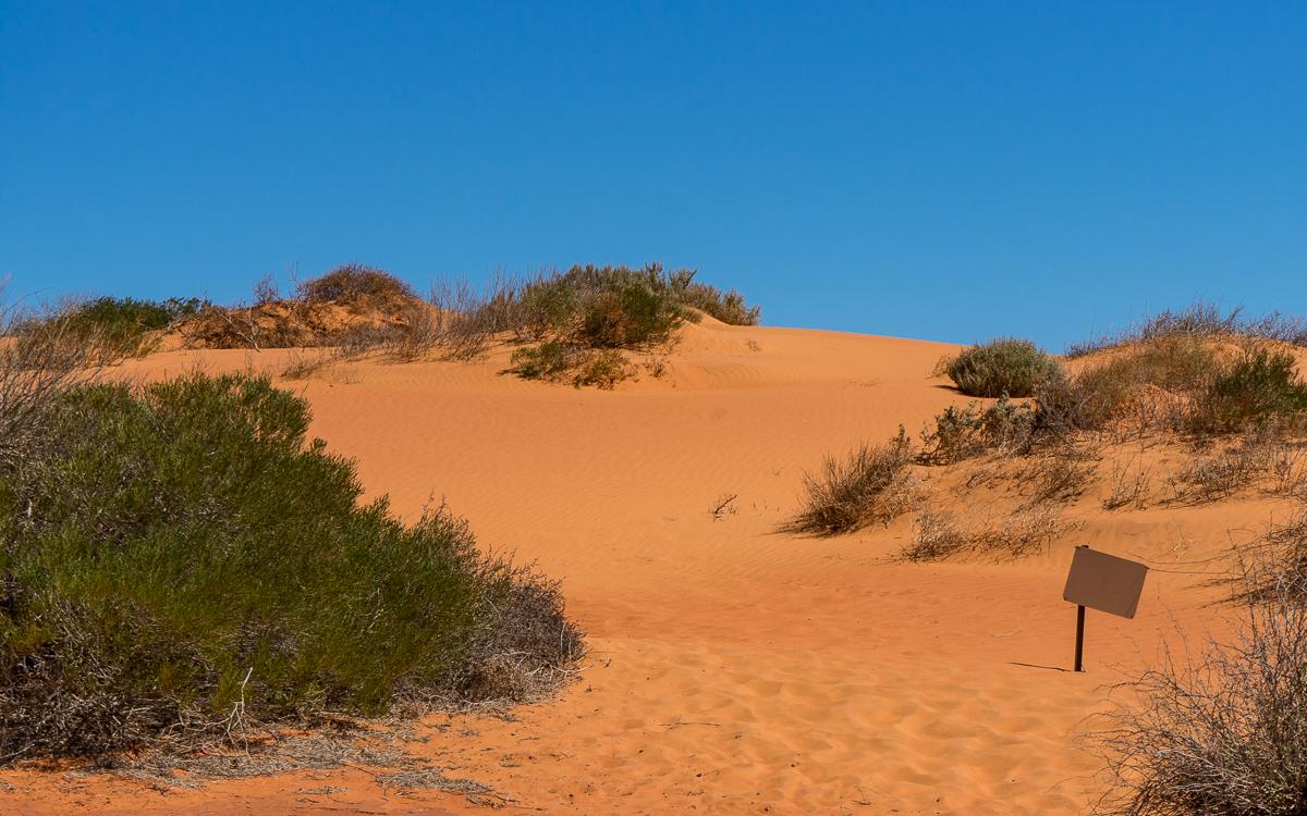 Red sand dunes Francois Peron National Park Western Australia