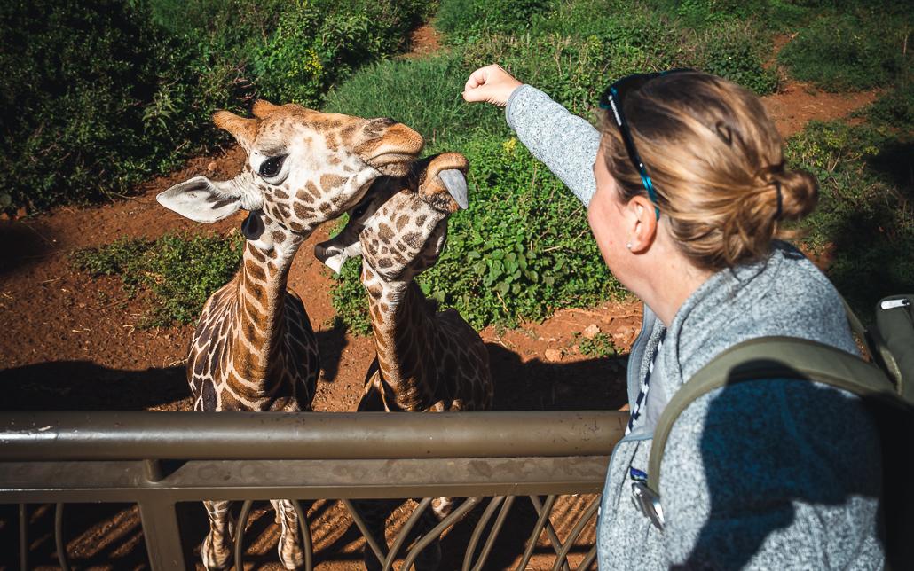 Nairobi Kenia bezienswaardigheden 1 dag