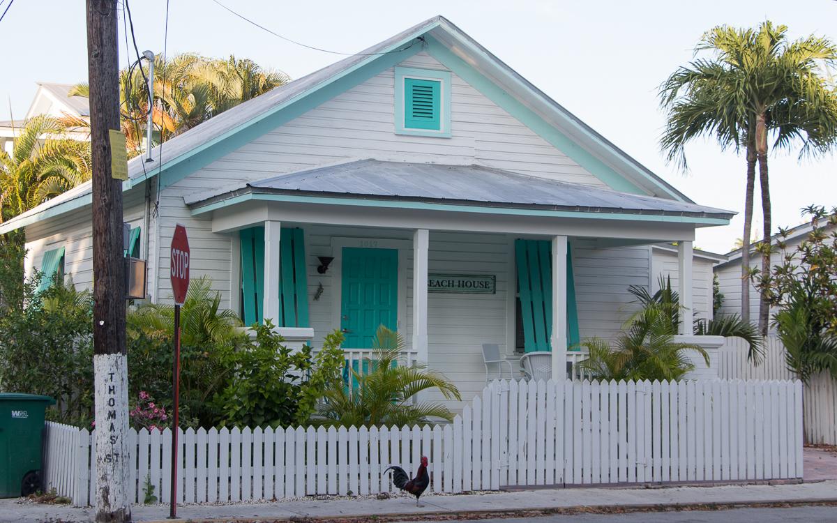 Wooden house Key West with rooster