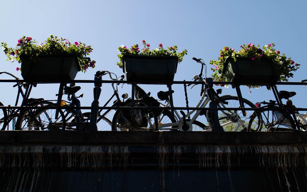 Amsterdam Attractions Biking