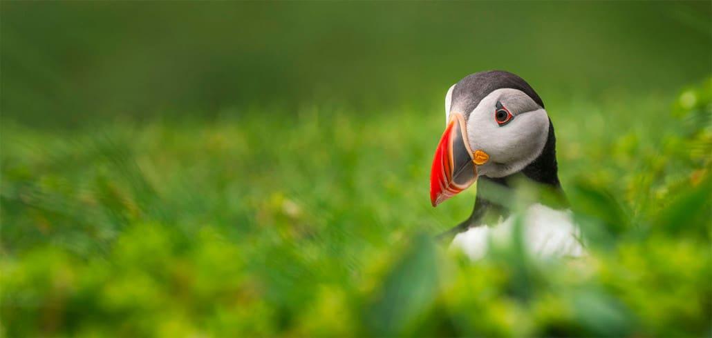 Faroe Islands vacation travel reports