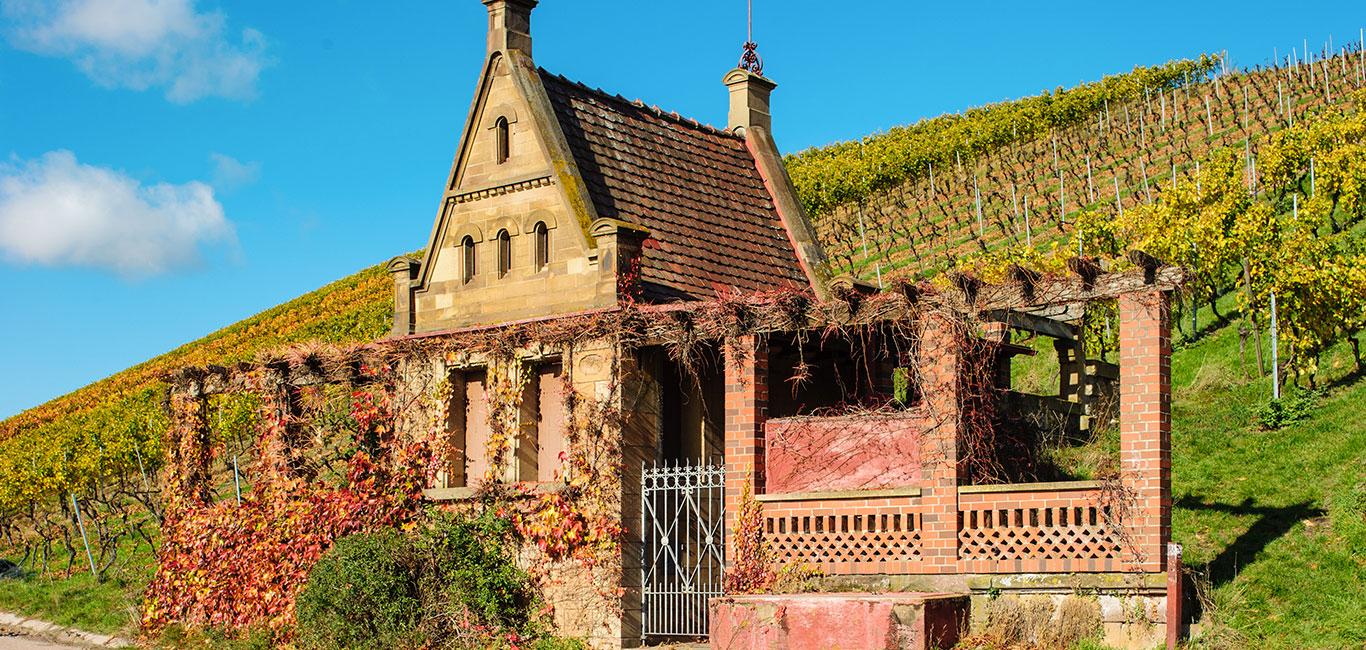 Conseils secrets de Heilbronn, Maison des Vignobles