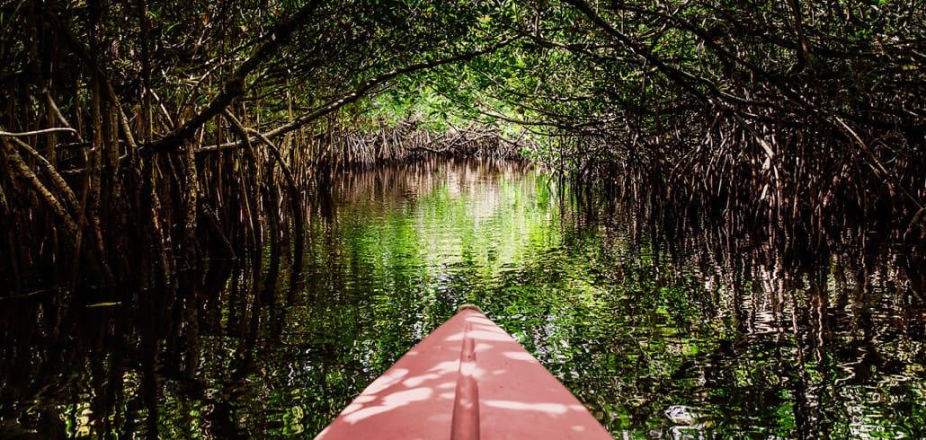 Everglades Florida Kajakvaren