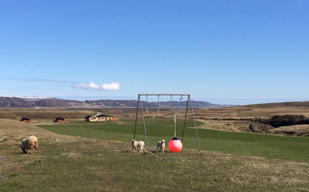 Boerderij Sireksstadir bij Vopnafjoerdur, ver van de ringweg in IJsland