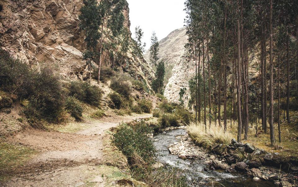 lares-trek-heiliges-tal-totora-wanderunglares-trek-heiliges-tal-totora-wanderung