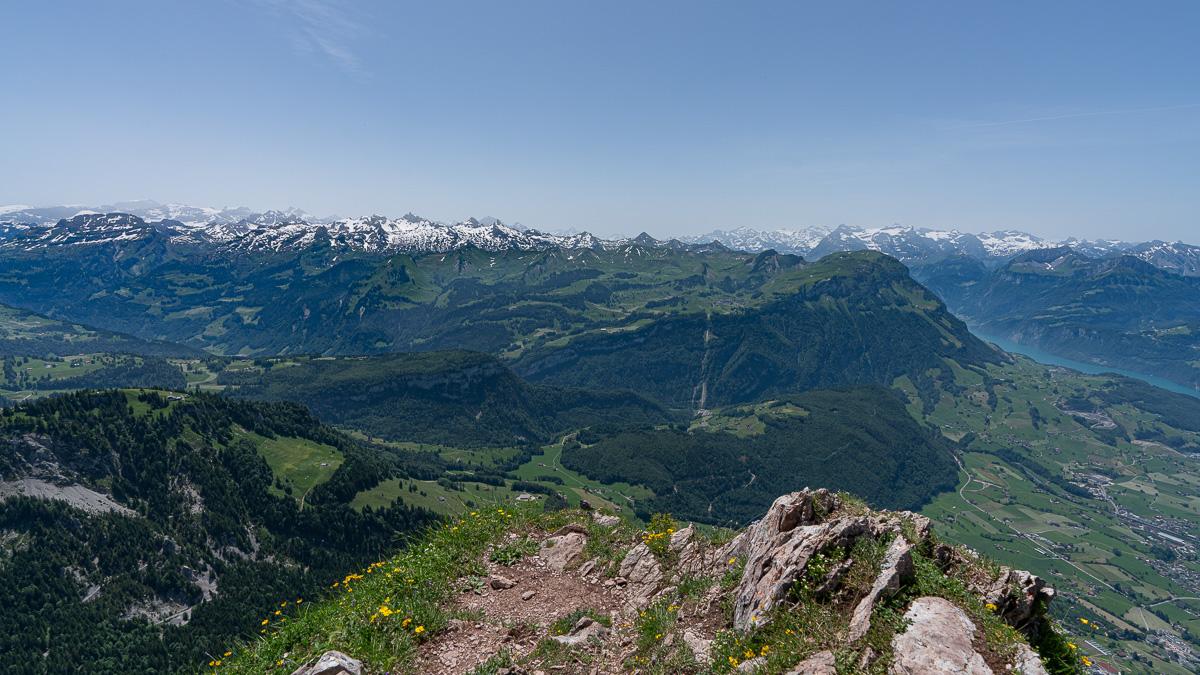Vue sur les Alpes depuis le Gros Mythen.