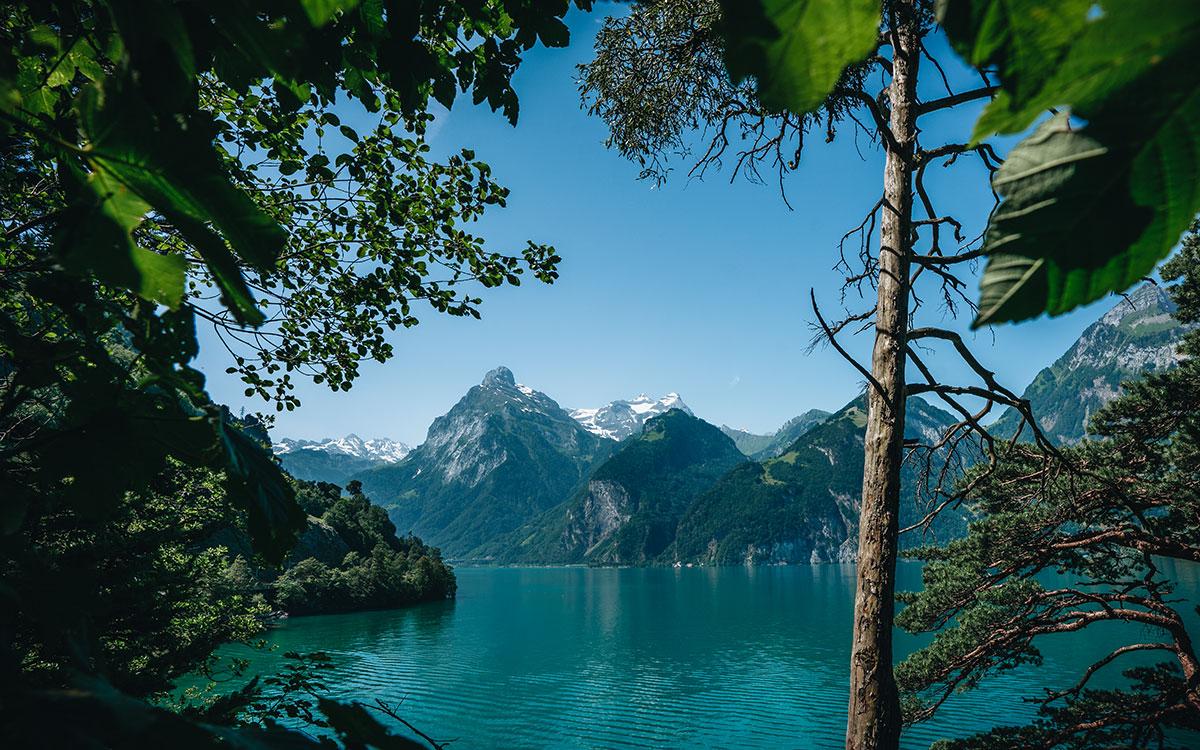 Chemin de la Suisse Flüelen