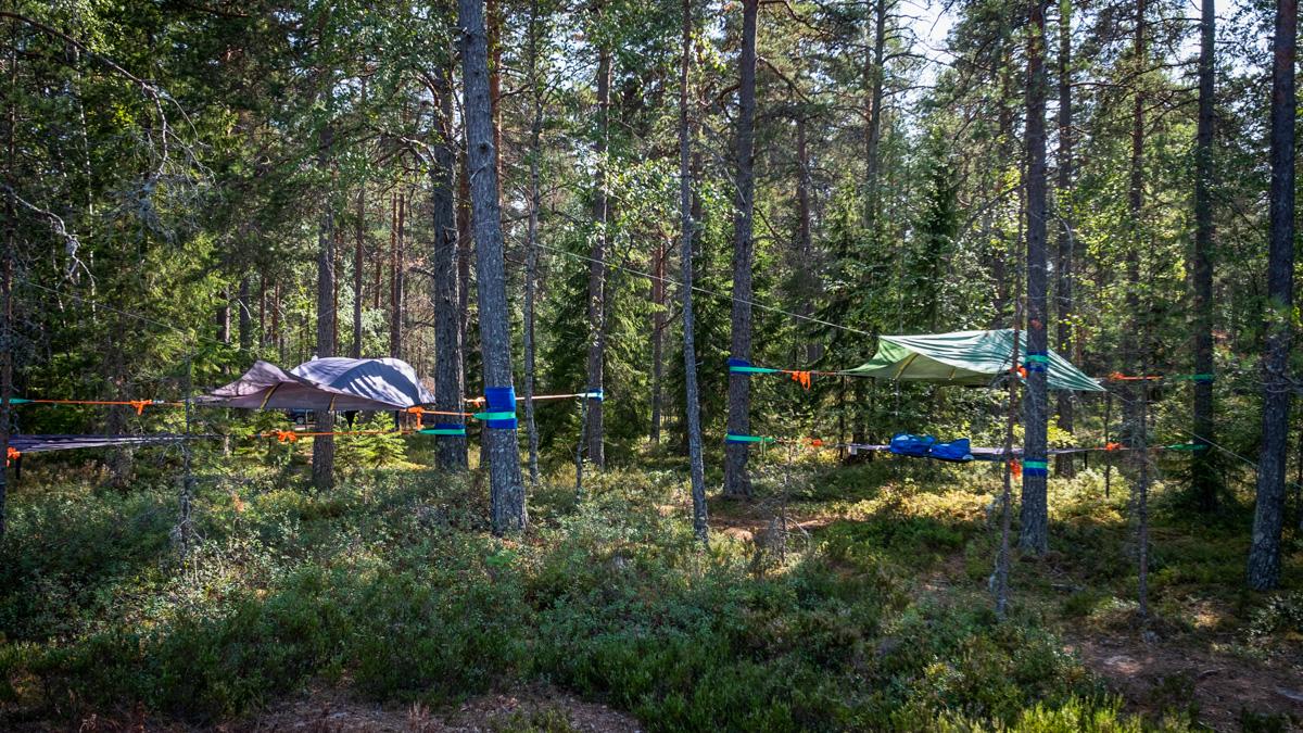Tentsile au parc national de Teijo