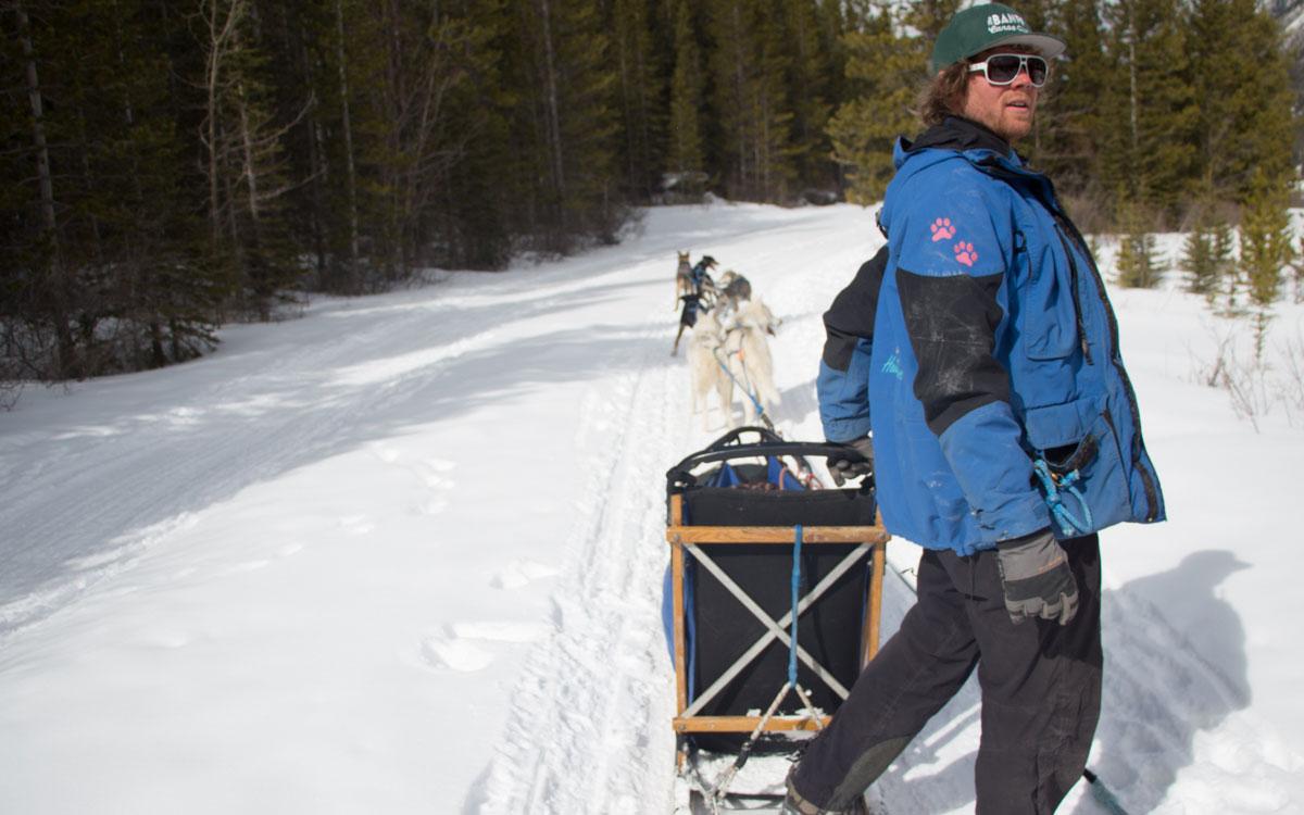 Canada Rocky Mountains Dog Sledding Musher Teddy Dogs