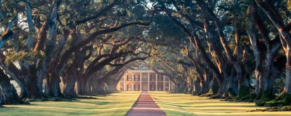 Blog over Oak Alley in Louisiana