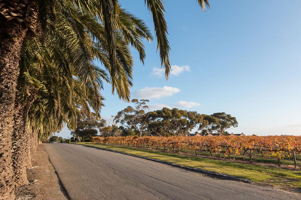 Barossa Valley Chateau Tanunda Wine Region