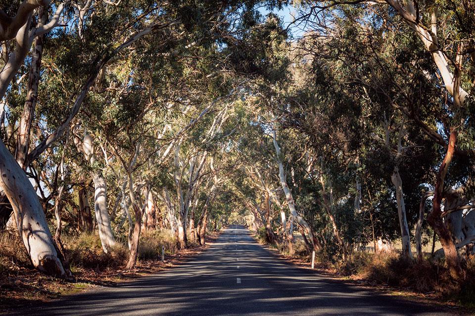 Roads in Barossa Valley South Australia