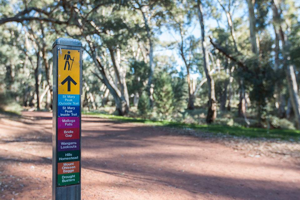Flinders Ranges Hiking Trails