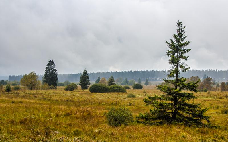 wandelen in oostbelgië
