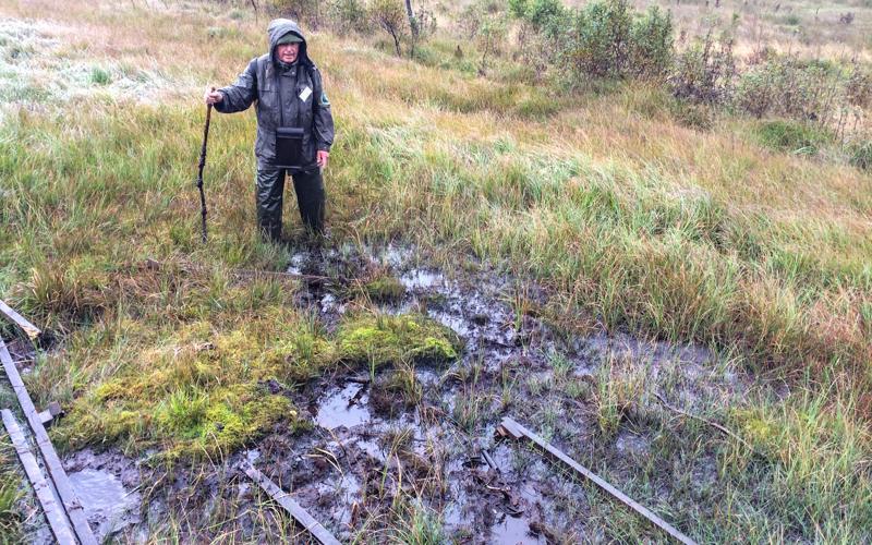 Oostbelgië Schwingmoor aardoppervlak