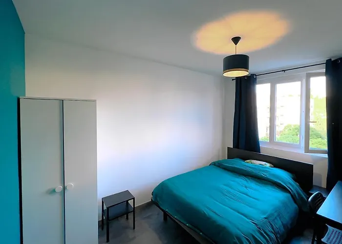 Top Hôtels pour Votre Séjour à Feyzin