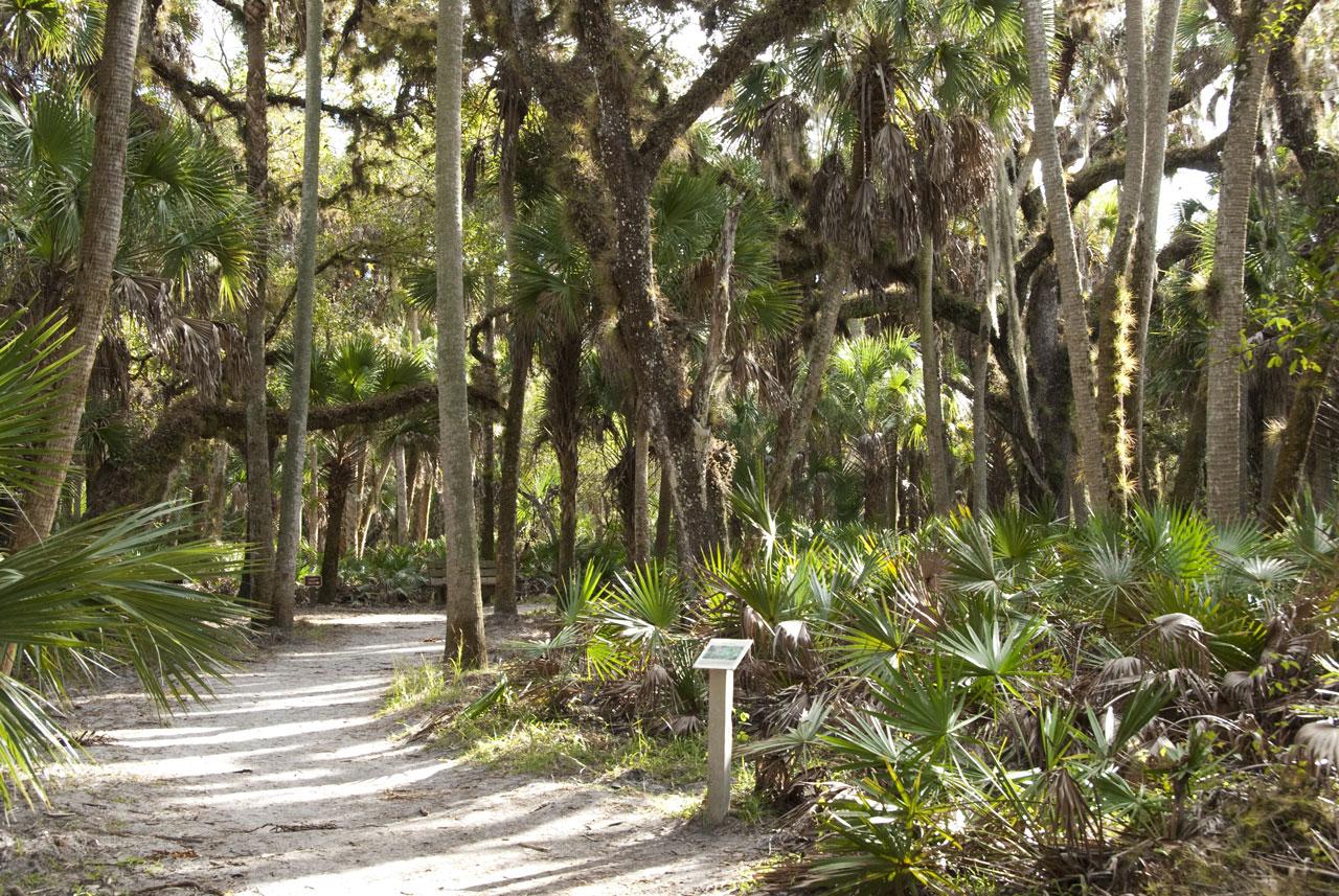 Tips for Sarasota, Florida