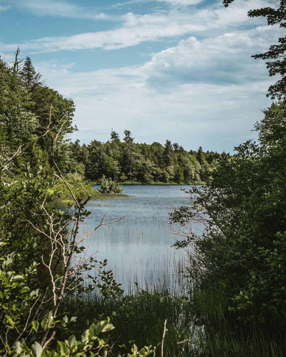 Porcupine Mountains Wilderness State Park in Michigan
