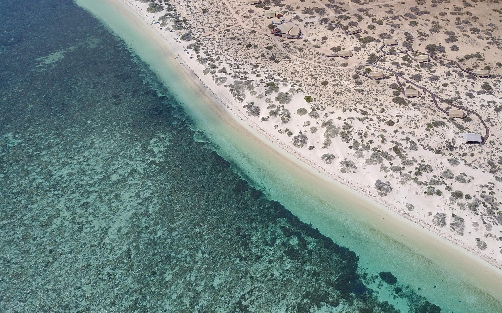 Geheimtip Ningaloo Reef (Cape Range Nationalpark)
