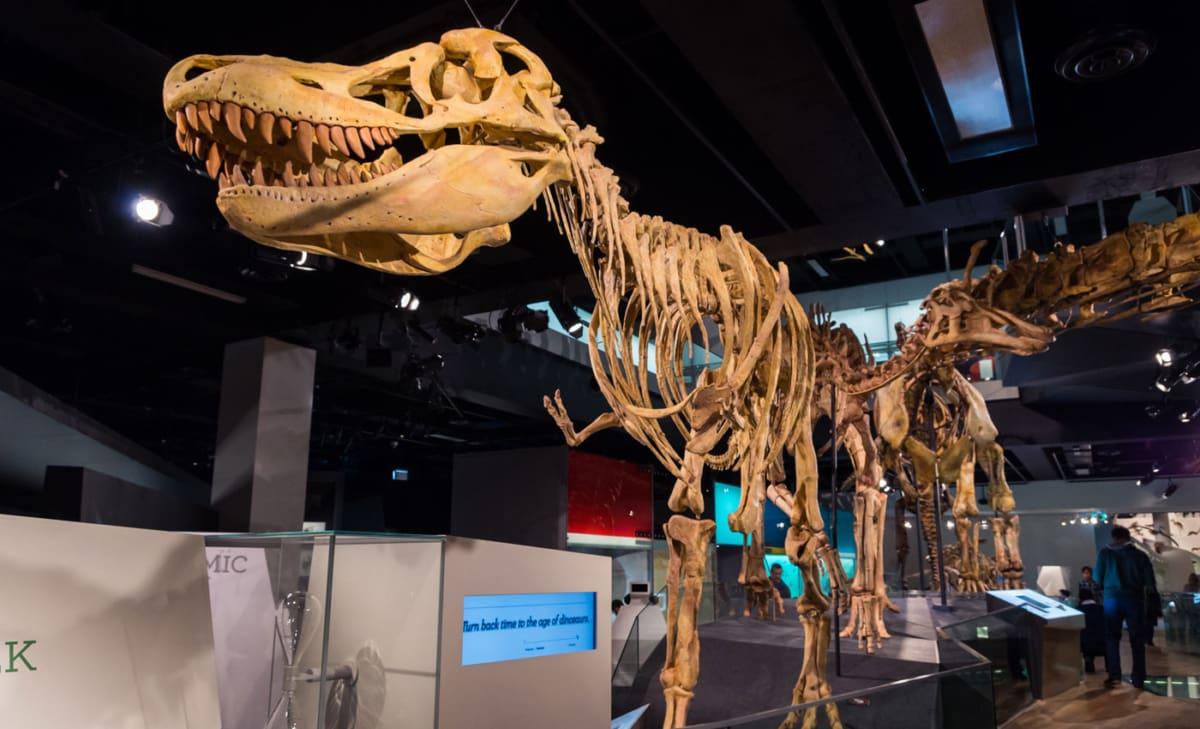 Bezienswaardigheden in Melbourne: Mijn lijst met 20 must-see attracties