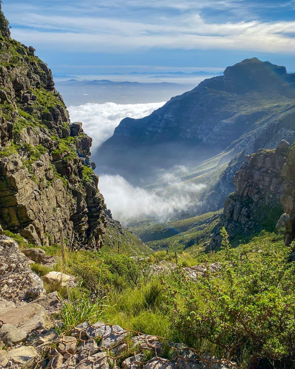 23 raisons pour lesquelles vous devez absolument voyager en Afrique du Sud !
