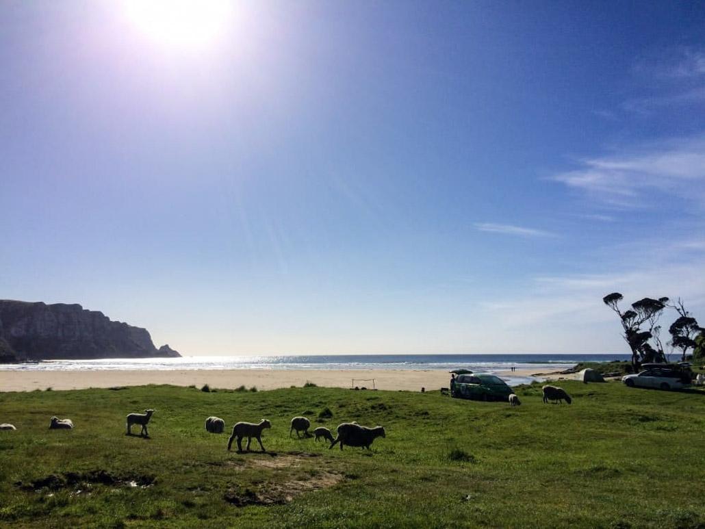 New Zealand Vacation Costs