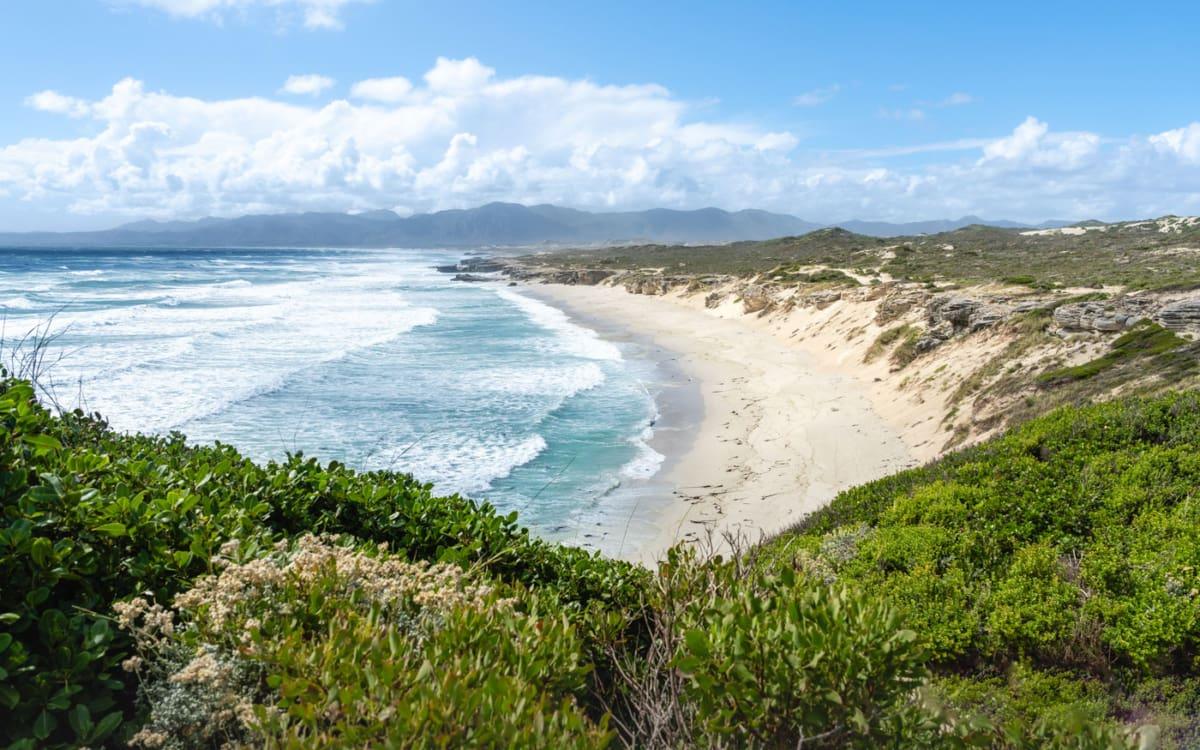Route 62 vs. Garden Route : Quel itinéraire est le meilleur ?