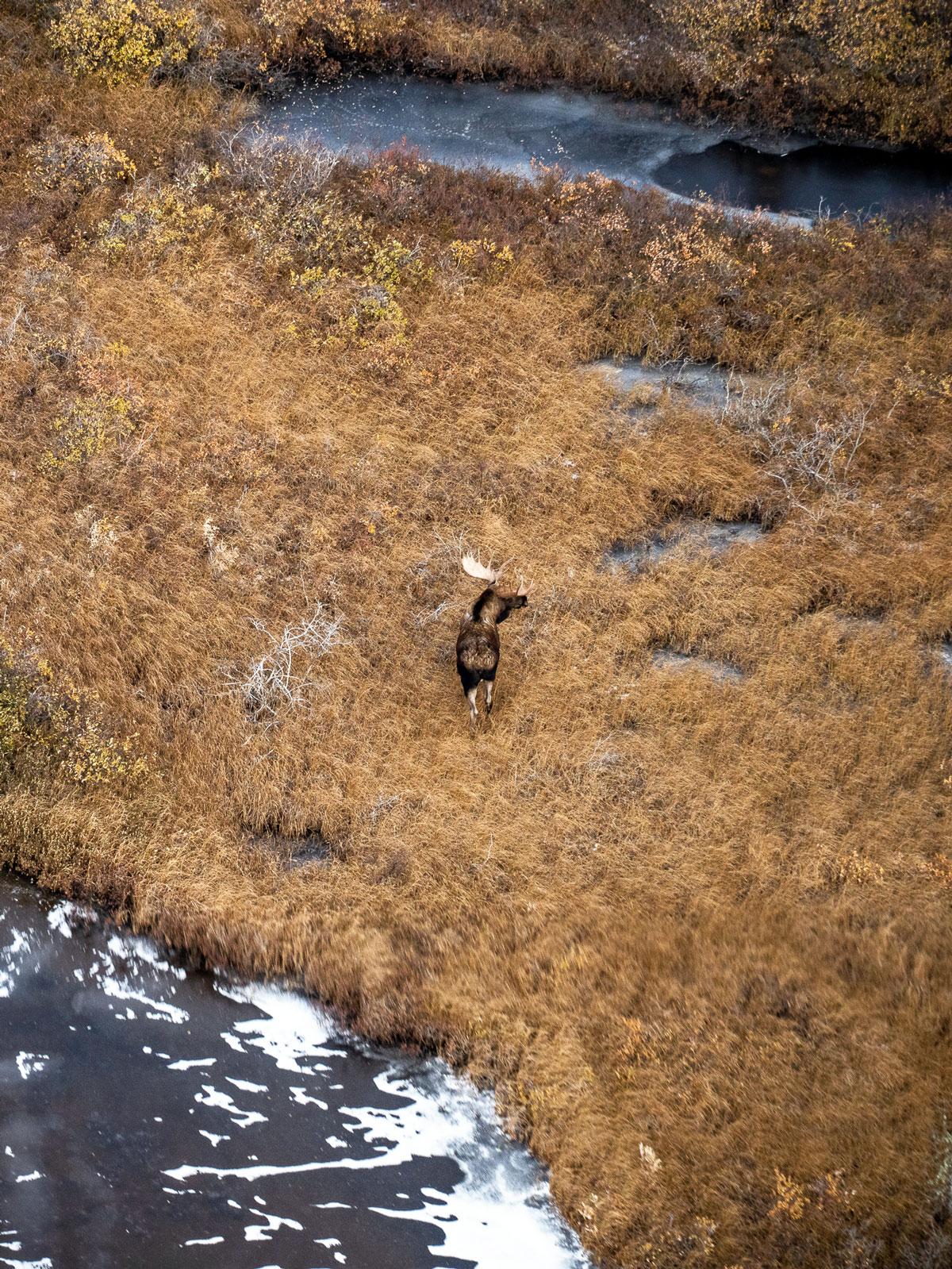 Churchill au Manitoba