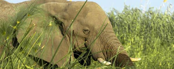 Botswana