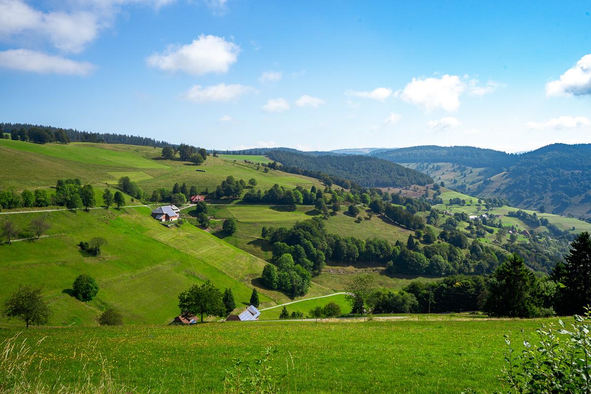 Highlights of the Black Forest Road Trip
