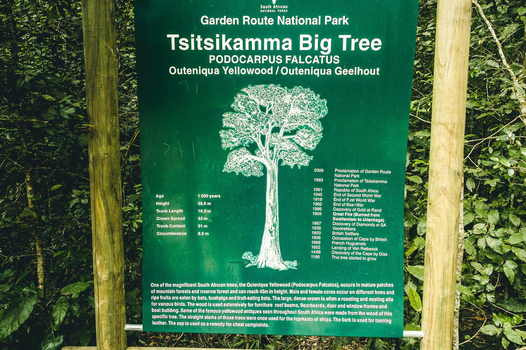 Tsitsikamma dans le parc national de la Garden Route en Afrique du Sud : Activités, points forts et nombreux conseils