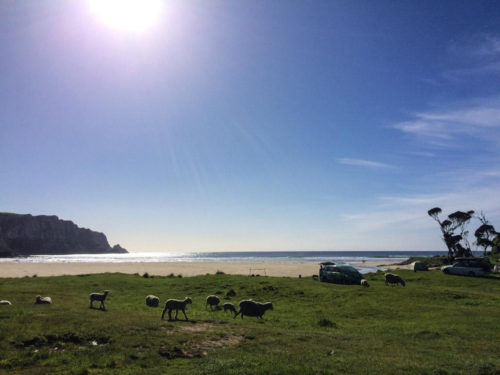 The Catlins (South Island, New Zealand)