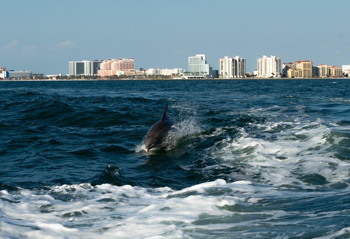 St. Petersburg & Clearwater Beach Florida